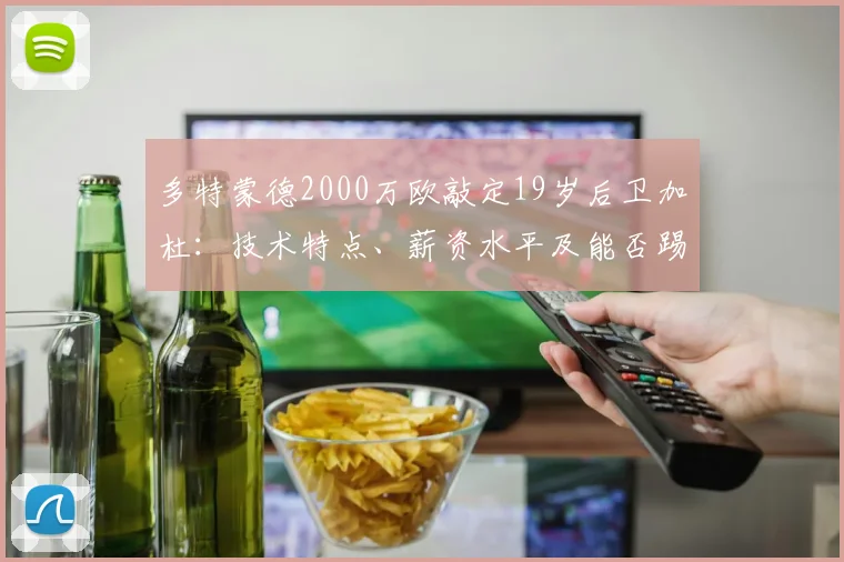 多特蒙德2000万欧敲定19岁后卫加杜:技术特点、薪资水平及能否踢上主力分析