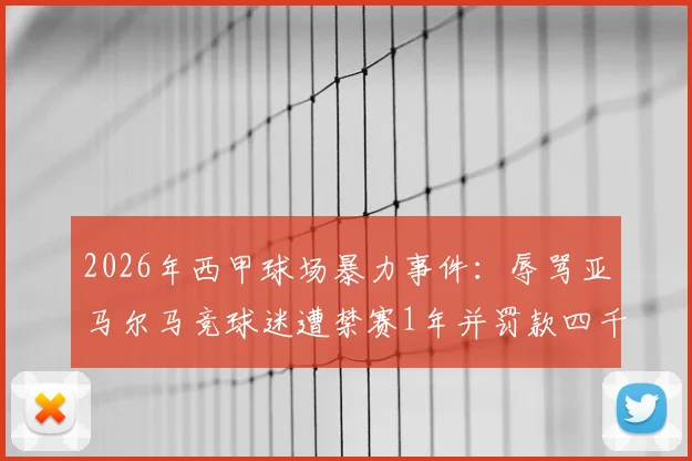 2026年西甲球场暴力事件：辱骂亚马尔马竞球迷遭禁赛1年并罚款四千欧元