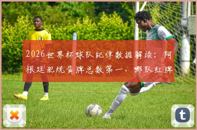 2026世界杯球队纪律数据解读:阿根廷犯规黄牌总数第一,哪队红牌最少?附完整数据查询方法